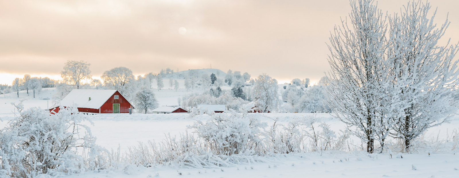 Farm House in winter